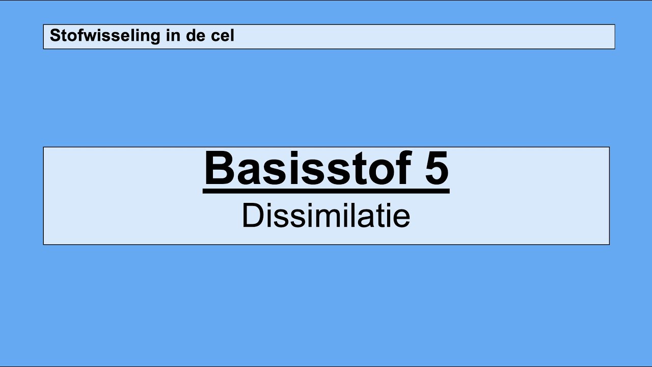 Havo 5 | Stofwisseling in de cel | Basisstof 5 Dissimilatie