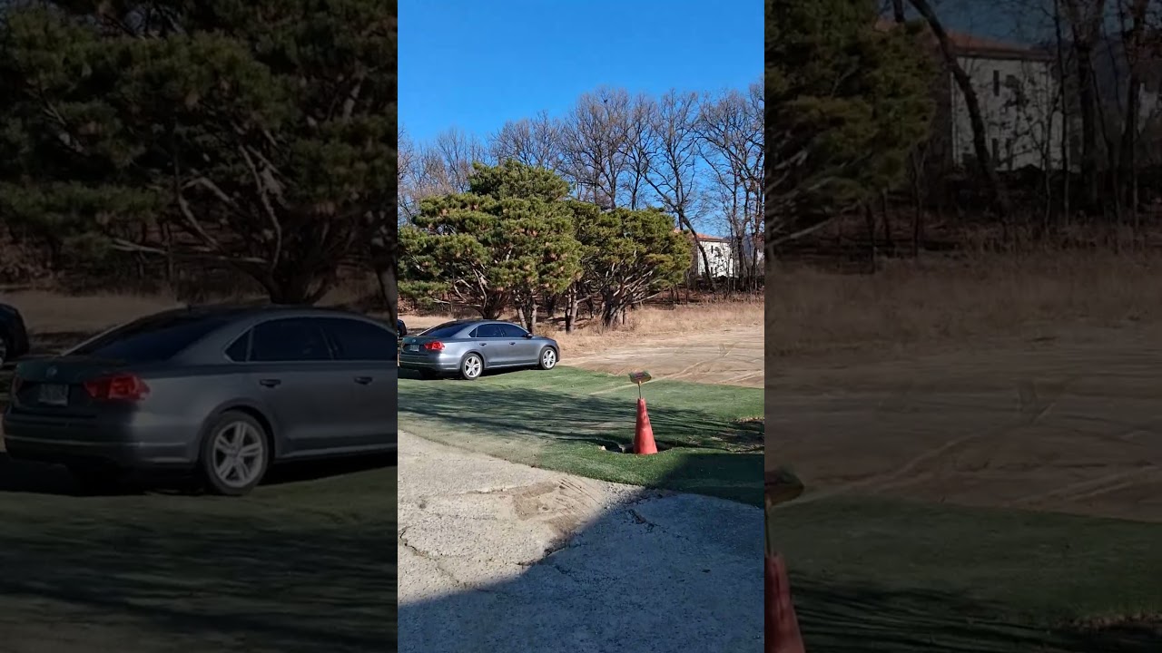 초록 잔디 n 높푸른 하늘  brothers four green field 영하15도 북경기 신도시 교외