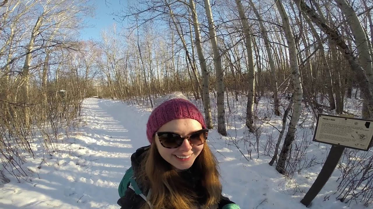 Clifford E Lee Nature Area Gopro walk (Winter