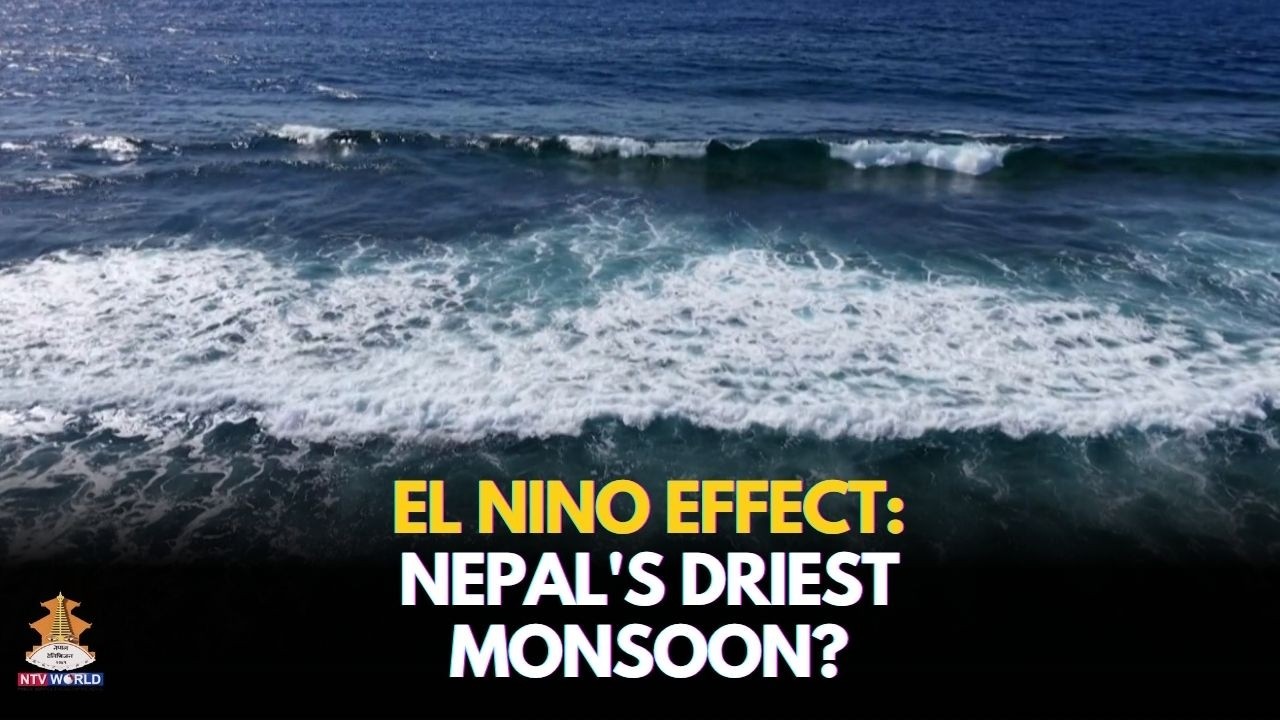 El Nino Effect: 75% Rainfall Deficit Threatens Nepal&rsquo;s Rice Production This Monsoon #NtvWorld
