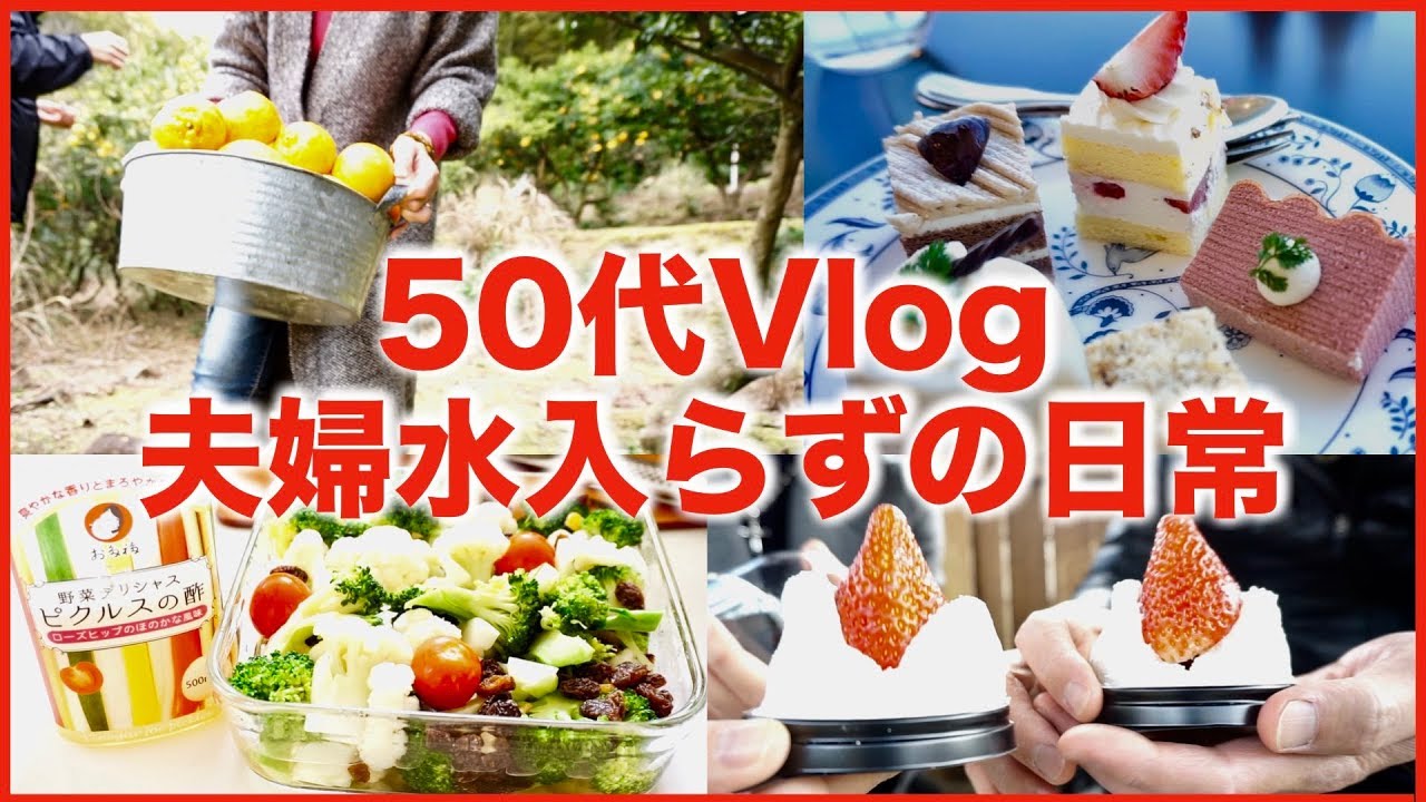【日々の暮らしVlog/50代夫婦水入らず】甘夏マーマレード/家ご飯/みかん畑/菜園収穫