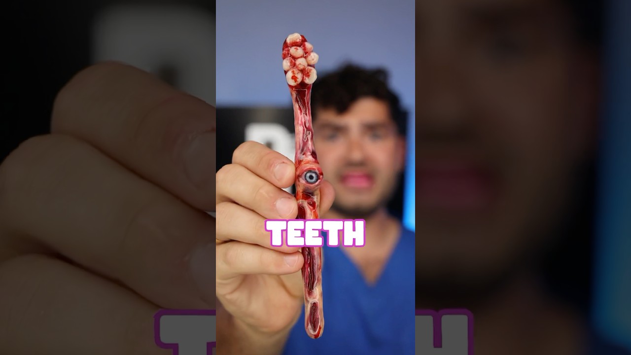 Scary Snacks vs Cavities !?