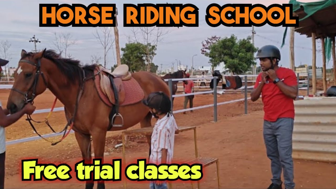 Majestic horse riding school | Free trial classes going on @musthafa_vlogs