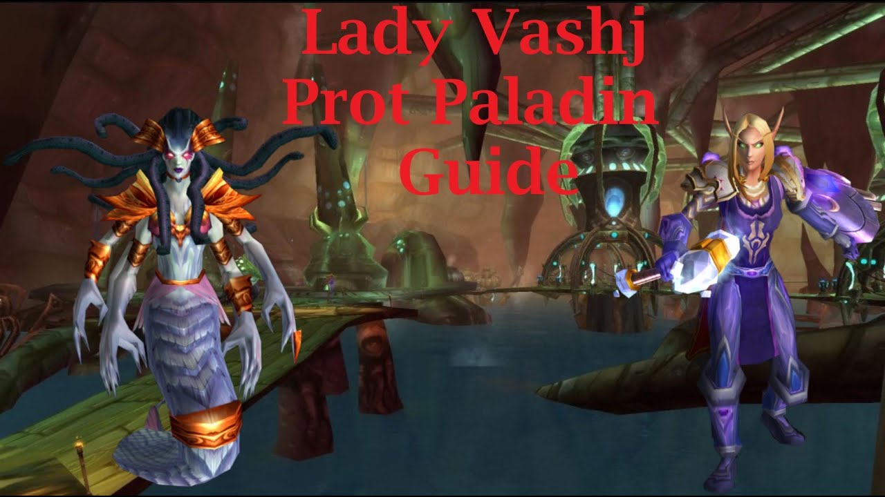 Lady Vashj Prot Paladin Guide - TBC Classic