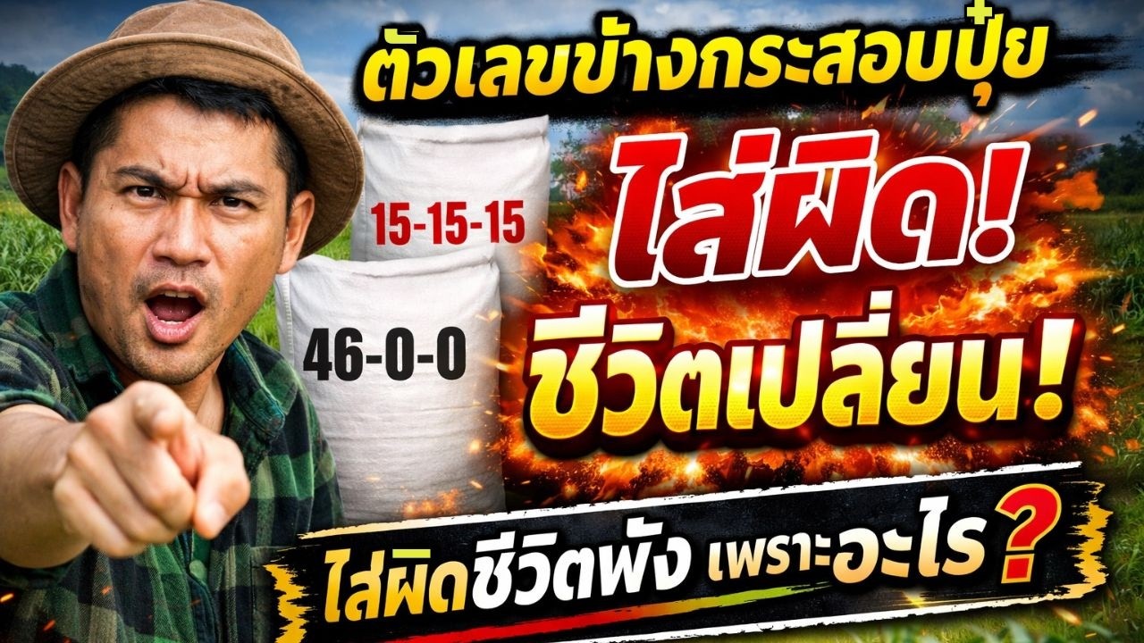 ตัวเลขข้างกระสอบปุ๋ย บอกความลับอะไร? ใส่ผิด ชีวิตเปลี่ยน!