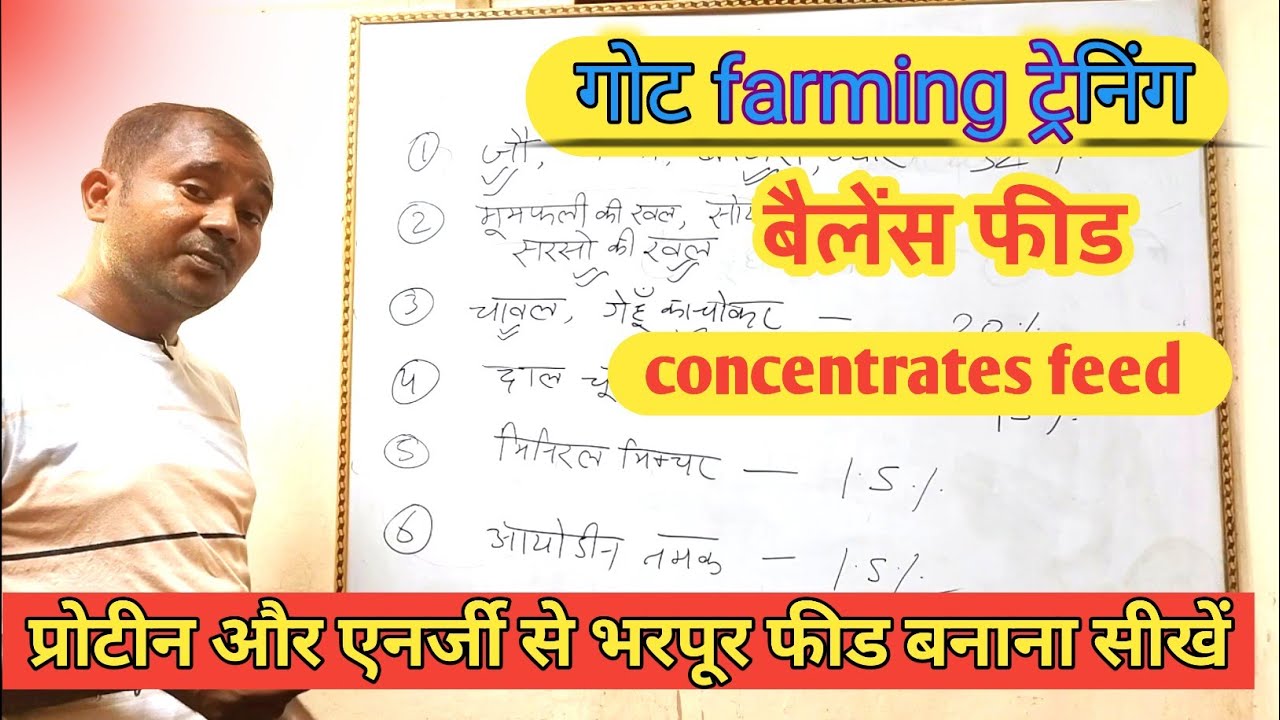 Goat Farming Training | Balance Feed | Diet Management | Vimalumrao