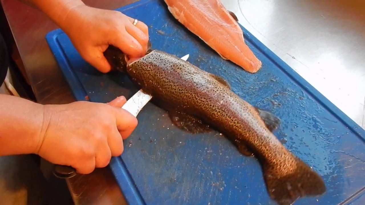 Forellen filetieren