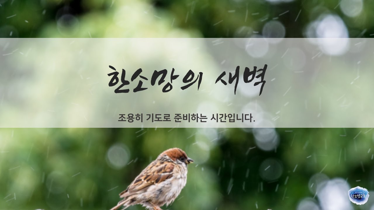평택 한소망교회 | 한소망의 새벽 (2026.2.24.화)