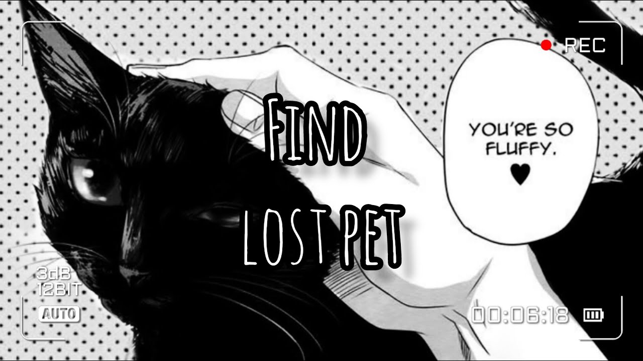 Find lost pet ✩‧₊˚  Your pet is at home ✩‧₊˚