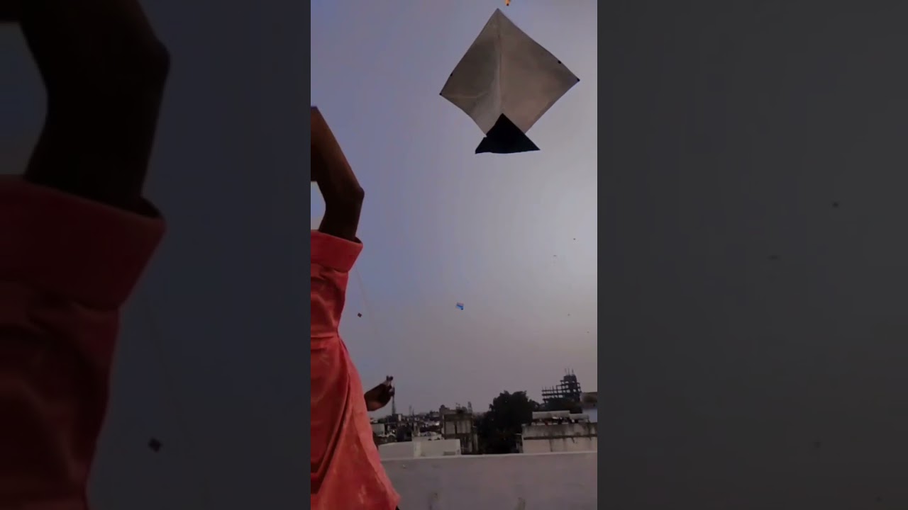 utrayan 2k22/festival of vadodara kite festival /biggest kite /2022