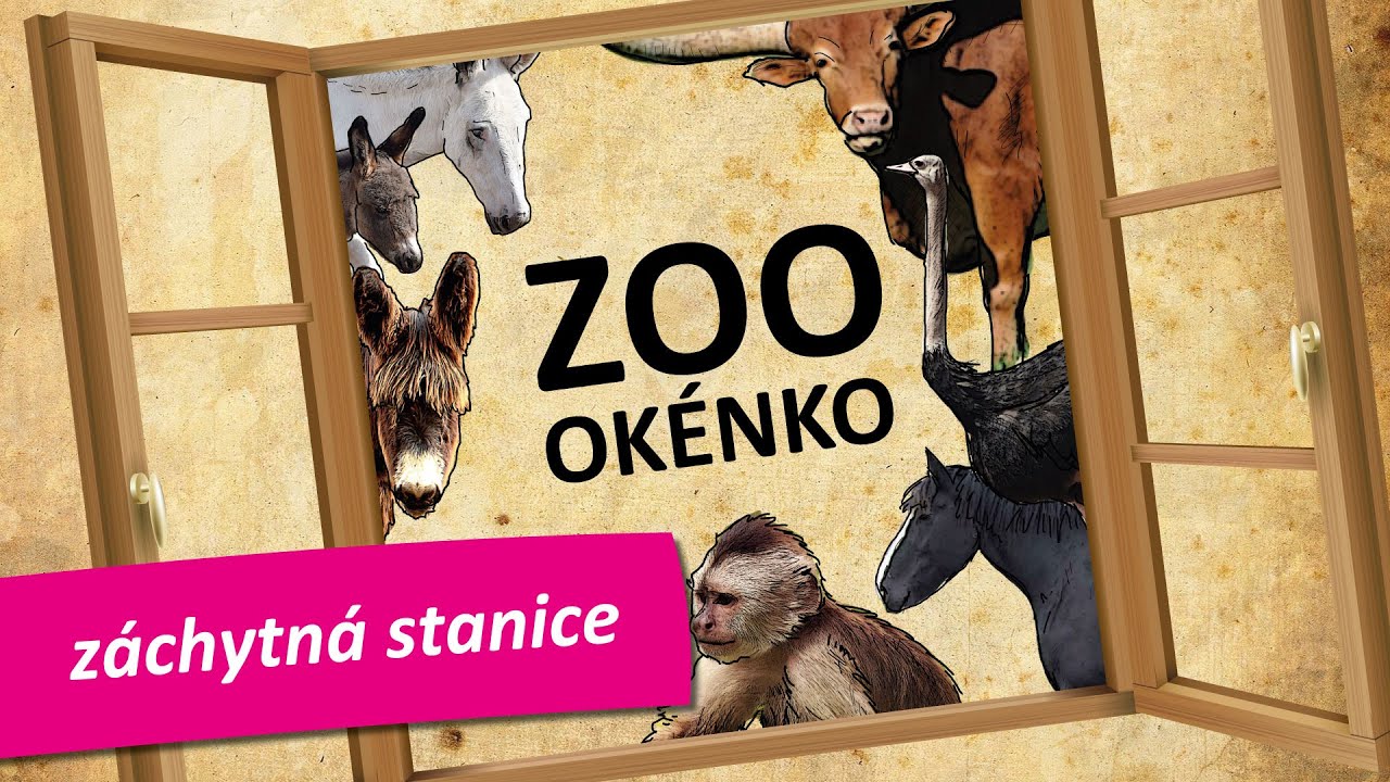ZOOokénko - záchytná stanice