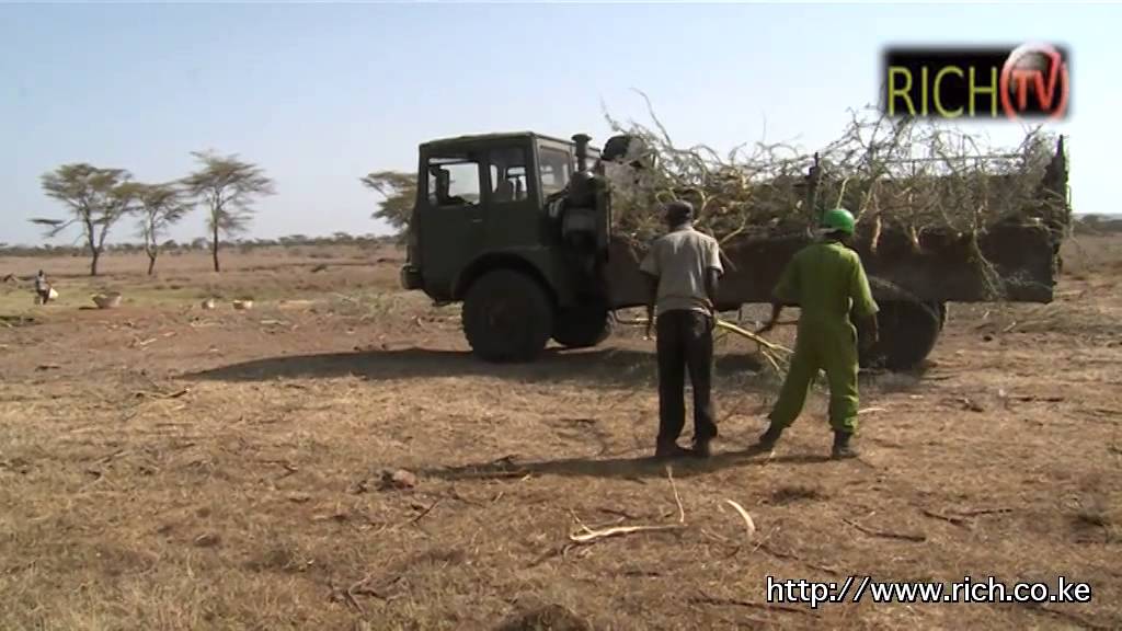 Interview with Ian Craig of Lewa Wildlife Conservancy @lewa_wildlife