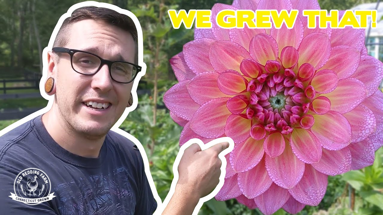 What We Learned Our First Year Flower Farming | First Time Farmers