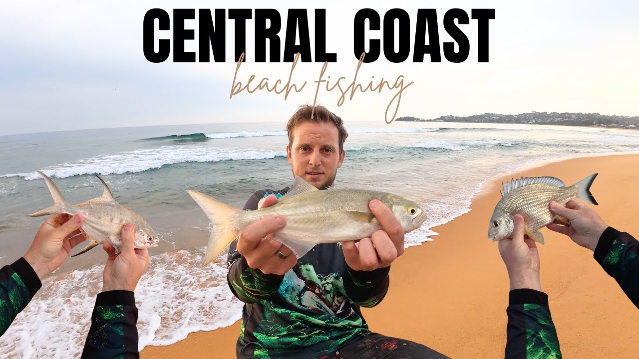 BEACH Fishing with WOOLIES Prawns?!!