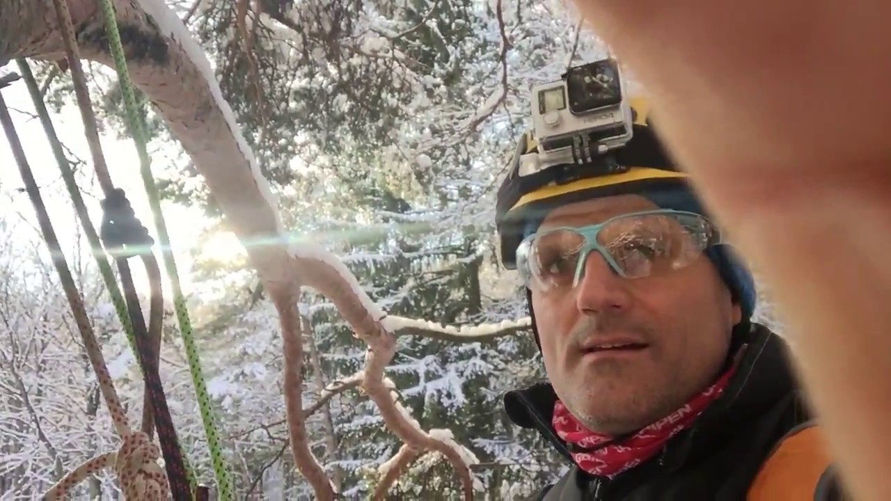 TREE CLIMBING ON A PINE  / BAUM KLETTERN AUF EINE FÖHRE (KIEFER) | SWISSPOWERJET