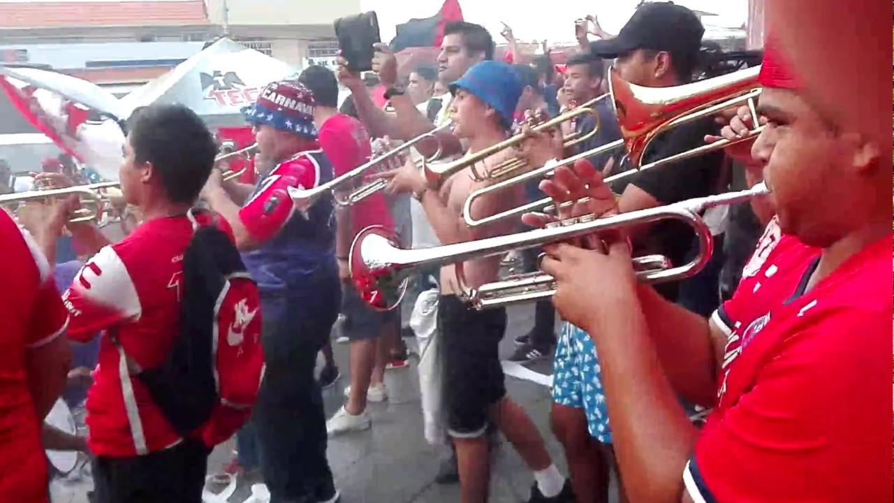 MURGA VERACRUZ  Hoy hay que ganar TIBURONES BARRA 47