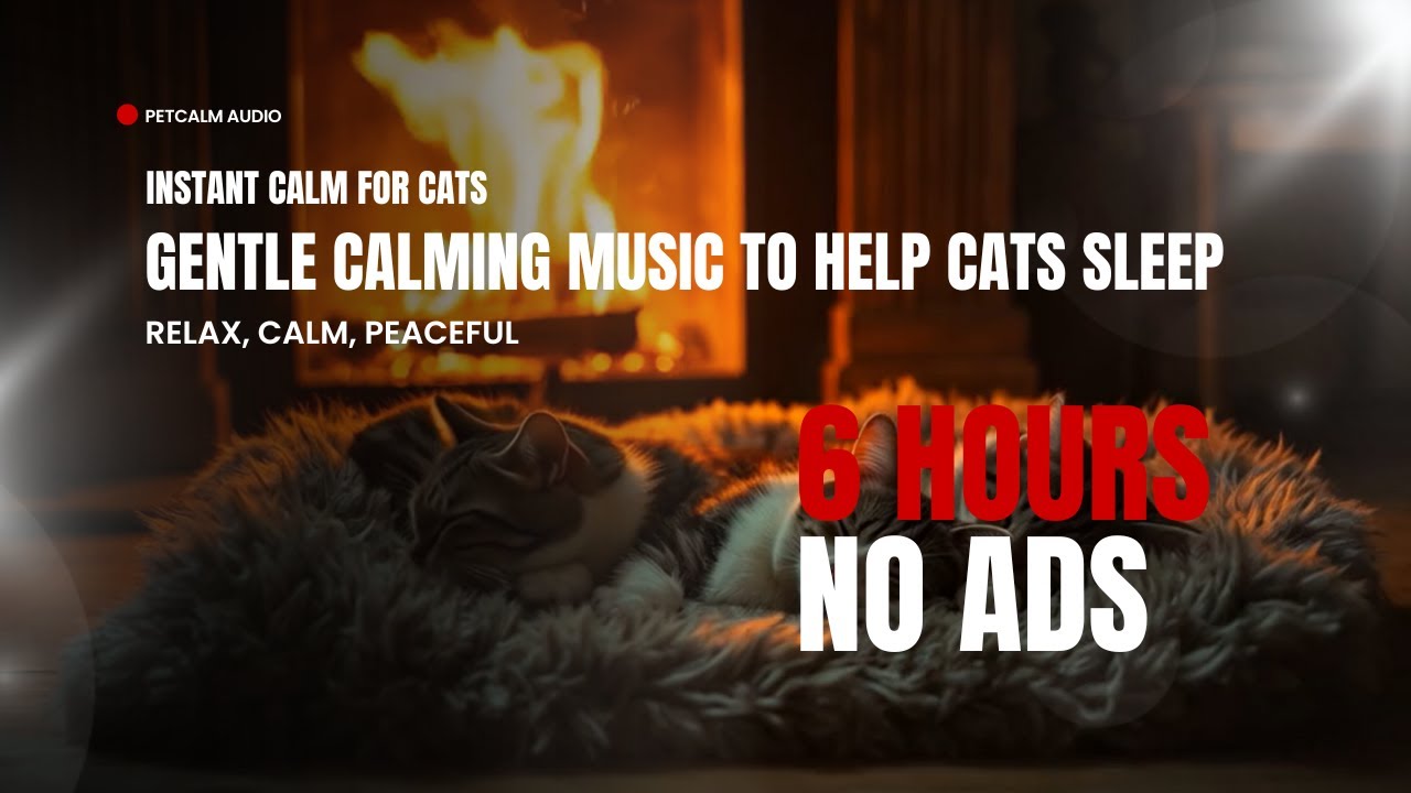 Piano Lullaby for Cats &ndash; Gentle Calming Music to Help Cats Sleep & Relax