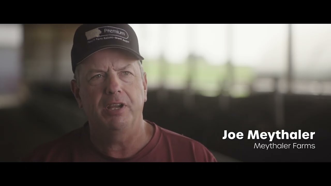 Iowa Premium Beef || A Better Way to Beef