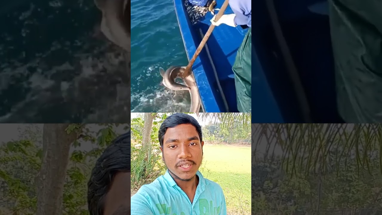 #bangladj