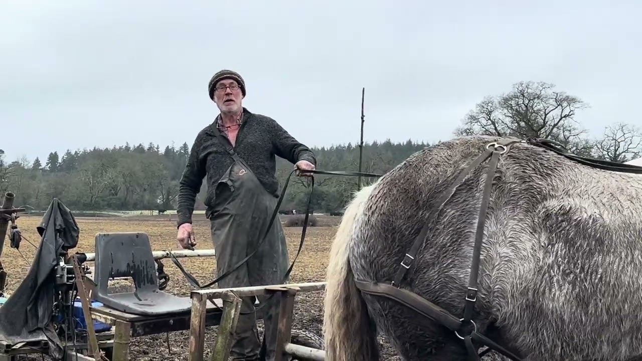 Ploughing with a team of 3 horses.