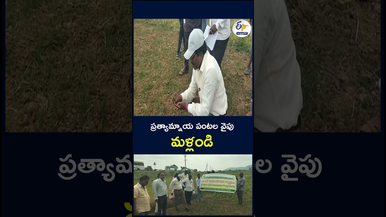 ప్రత్యామ్నాయ పంటల వైపు మళ్లండి #elnino #elninoeffect #alternativecrops #crops #farmers