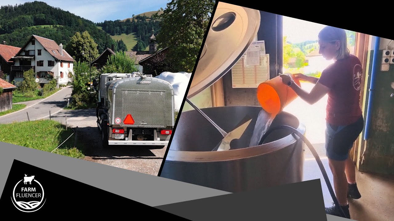 Warum unsere Milch immer frisch bleibt | IP-Suisse | Farmfluencer