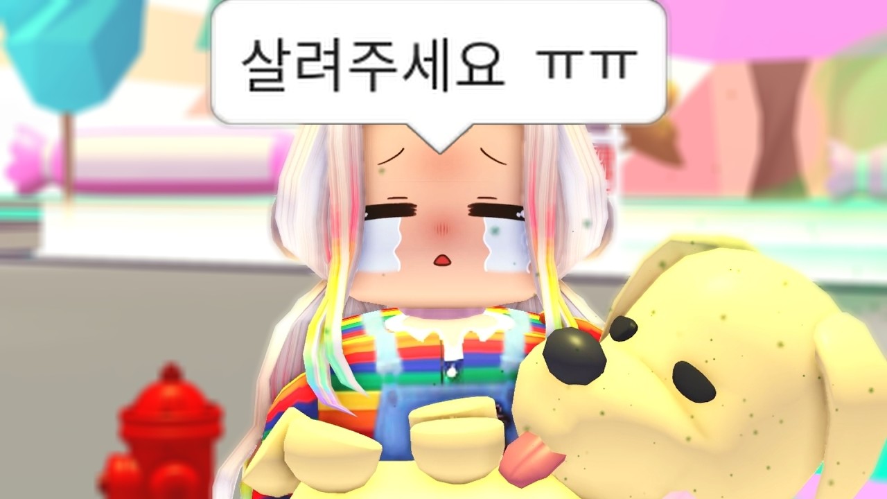 1년만에 입양하세요 들어가면 생기는 일