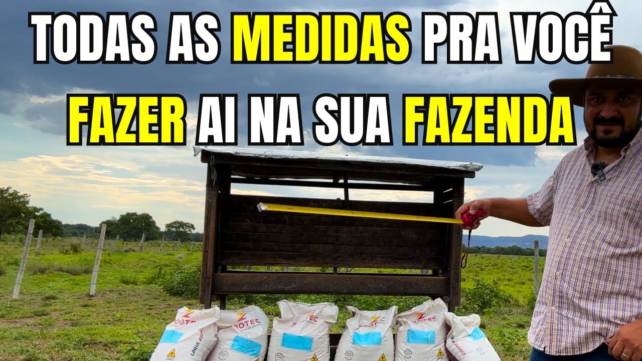 Como Fazer Cazinha de Cocho Coberto para Gado de Corte