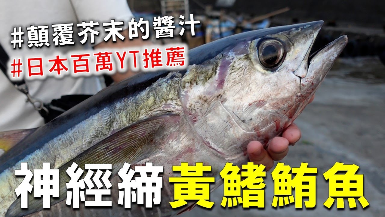 日本人如何處理熟成3天黃鰭鮪魚 ? 顛覆生魚片的醬汁配方大公開，日本百萬youtuber超推的醬汁。