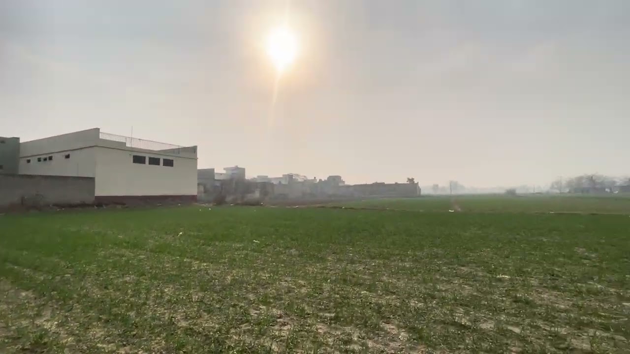 Village life in Nurpur - very peaceful 