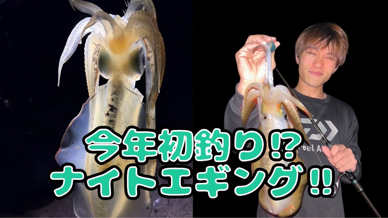 寒波と北風を吹き飛ばせ！チャンネル初ナイトゲーム公開＆初釣りナイトエギング！※激推しアイテム紹介