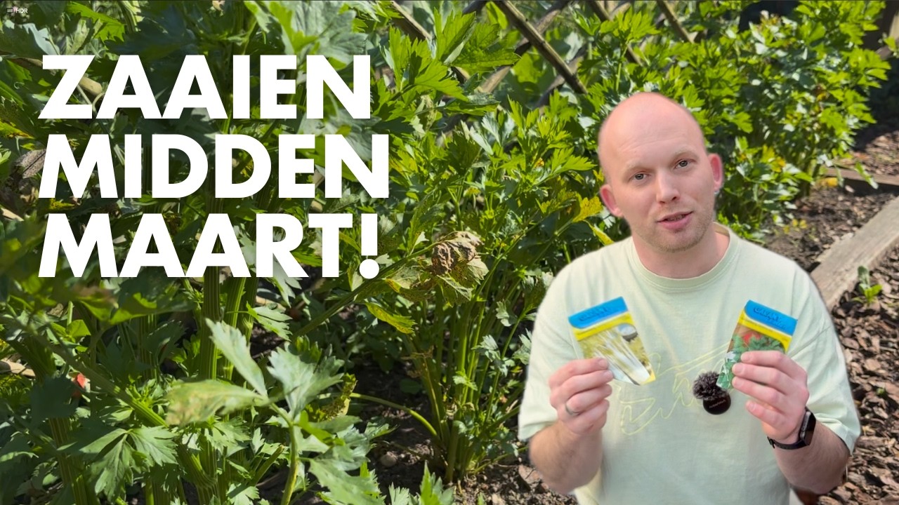 Wat kun je zaaien midden Maart? 🌱 Deze groenten en kruiden wil je niet overslaan! | De Moesketier