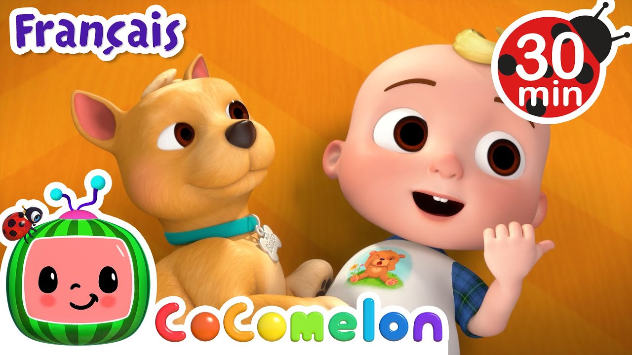 Il s'appelait Bingo! + Encore Plus | Cocomelon | Dessins animés pour enfants et familles