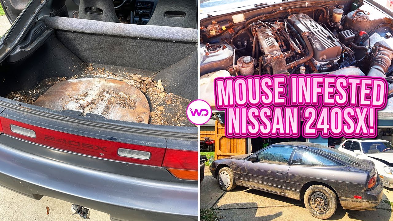 Nissan 240SX, кишащий мышами, получил первую реставрацию за 20 лет! Удовлетворительный детейлинг-...