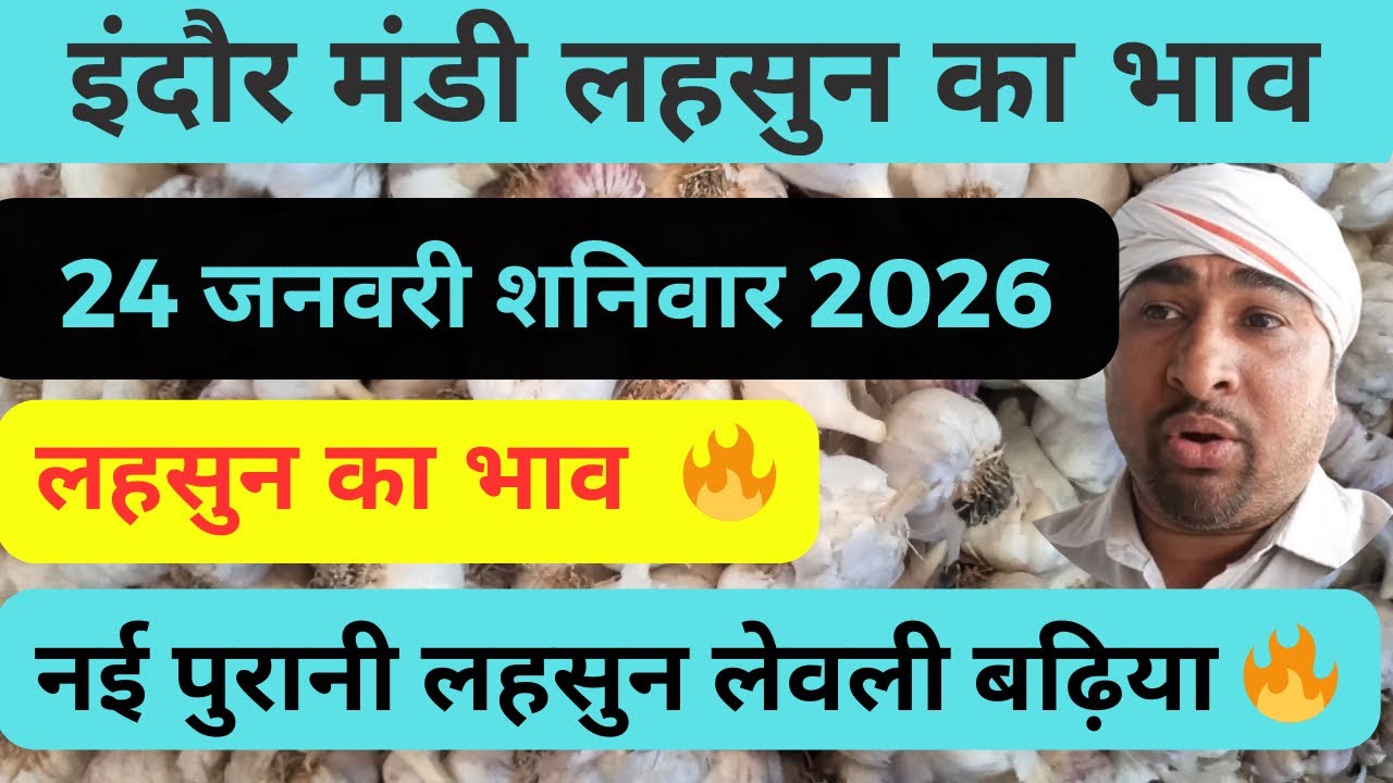 indore mandi lahsun ka bhav          #lahsunaajkabhav  #garlicpricetoday 