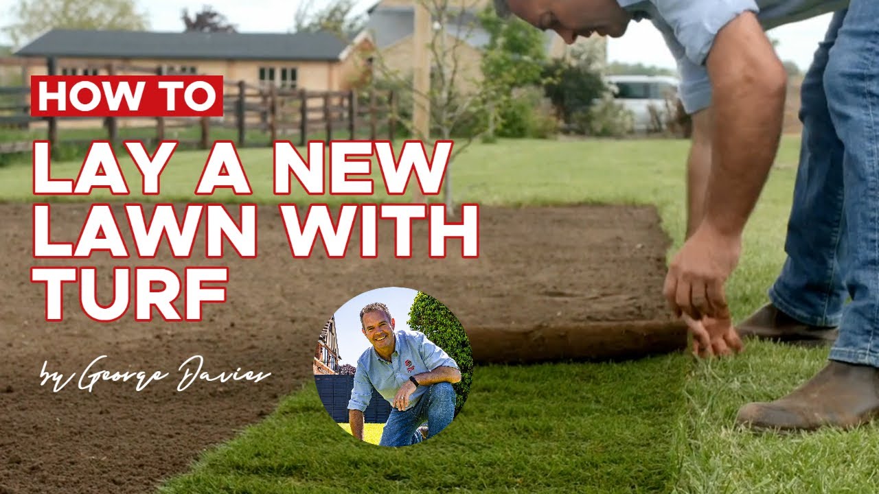 How to Lay Your New Turf Today