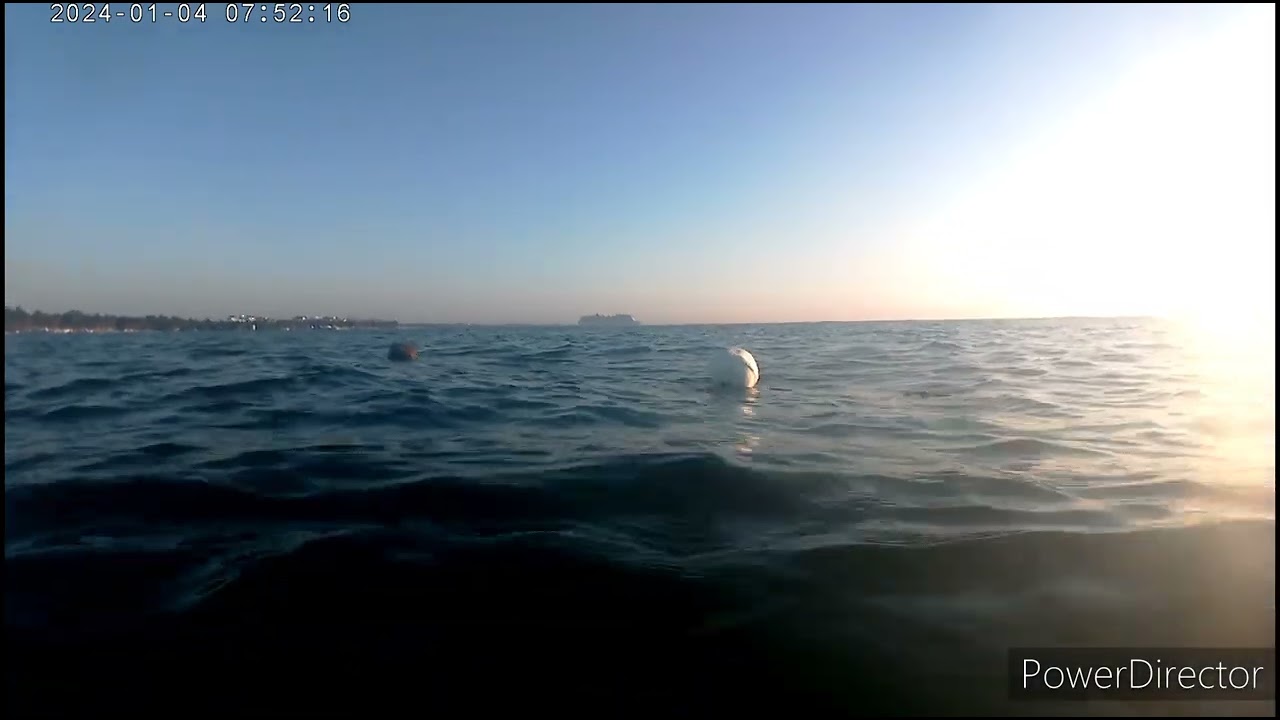 2024-01-04 Mahahual morning conditions ⭐⭐⭐