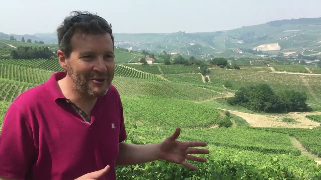 Cavallotto Tenuta Bricco Boschis, Piemonte: Slow Wine 2023