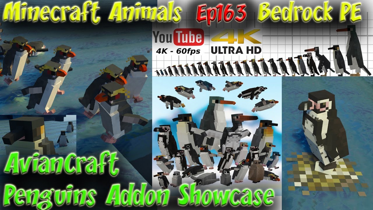 AvianCraft Addon Penguins Addon Showcase Bedrock PE Minecraft Animals Ep163
