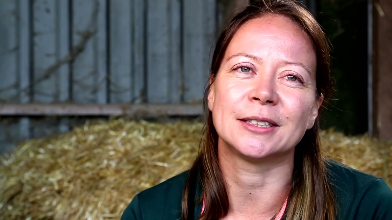 Werken op SO Noorderlicht  paard