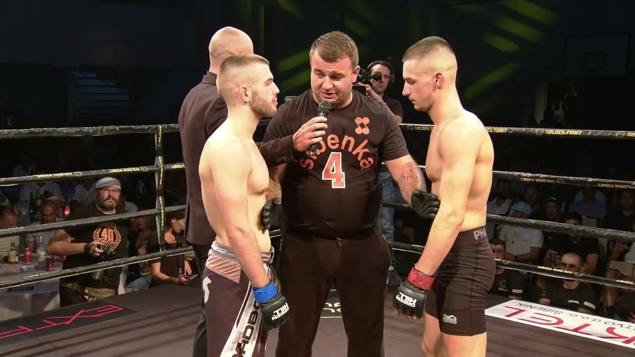 Erik Pletikos  vs  Nikola Pavlović MMA