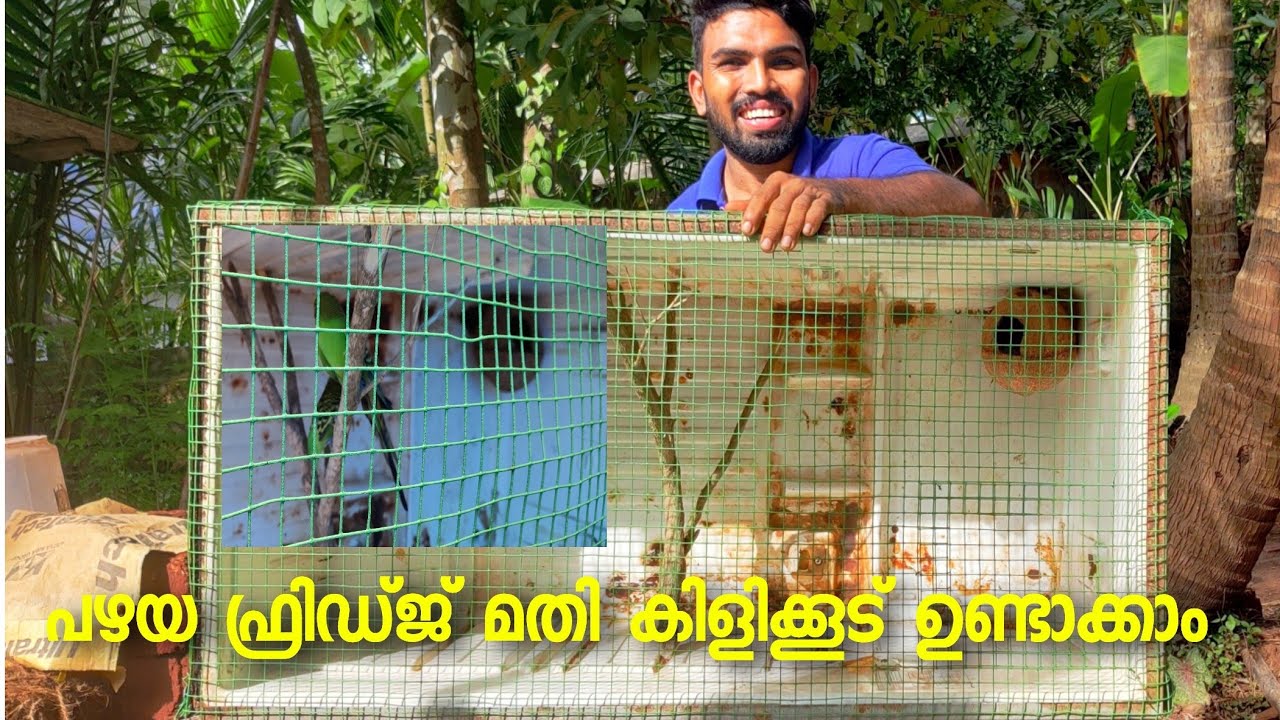 old fridge box Beautiful Hanging birds cage പഴയ ഫ്രിഡ്ജ് ഉണ്ടോ കിടിലൻ കിളിക്കൂട് ഉണ്ടാക്കാം