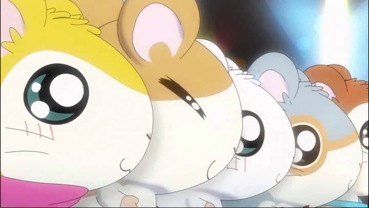 Tottoko Hamutaro Dechu OP 2