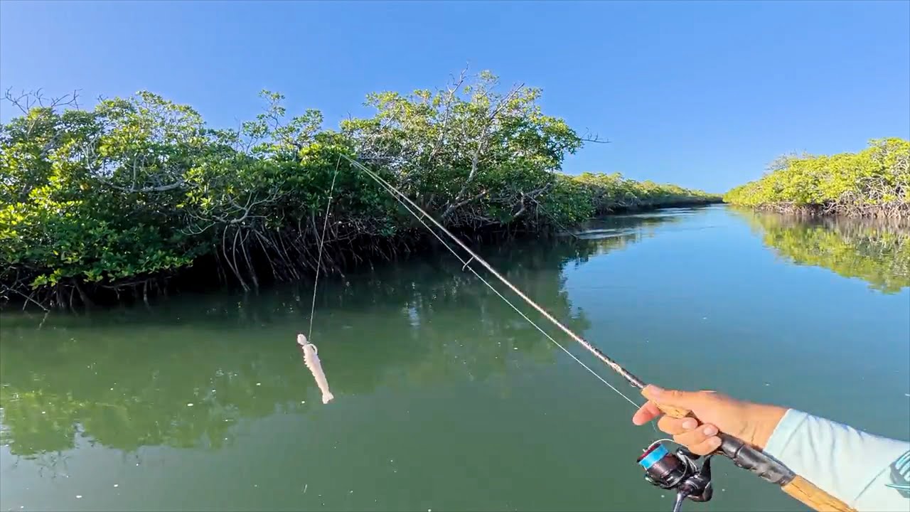Florida Keys Kayak Fishing | Floating The Mangrove Highway