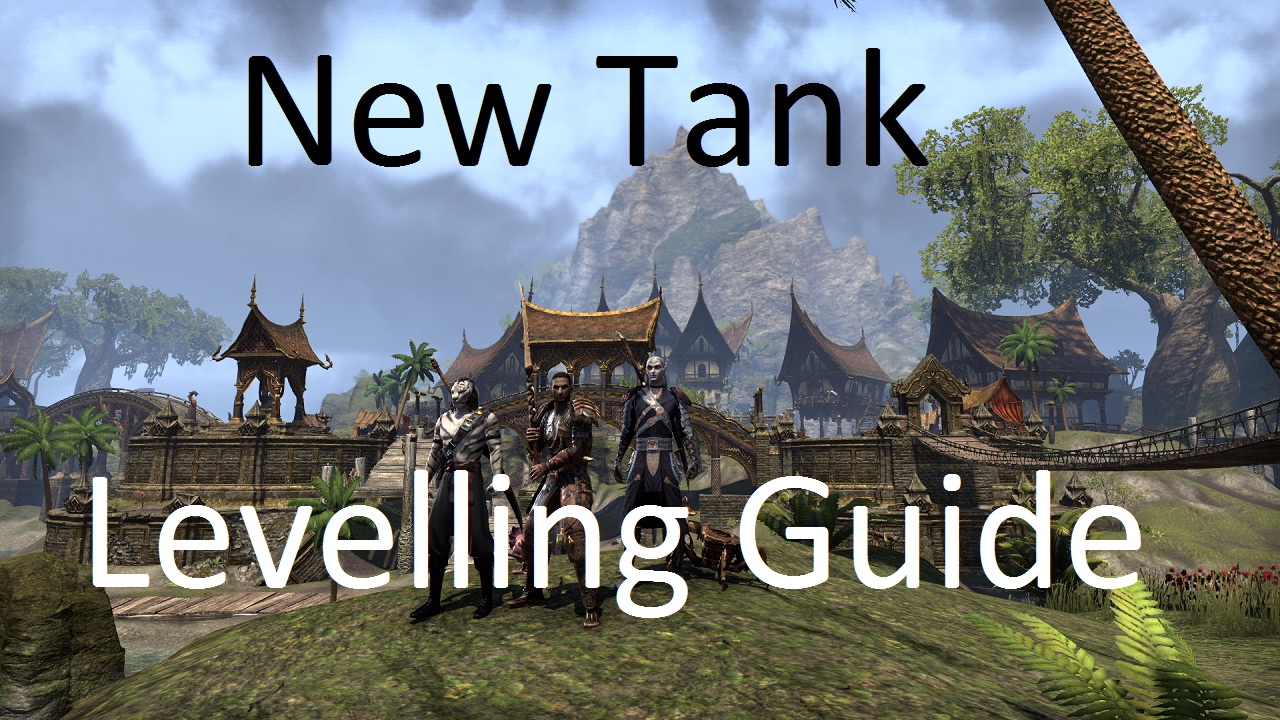 [ESO] Guide For Levelling Your New Tank