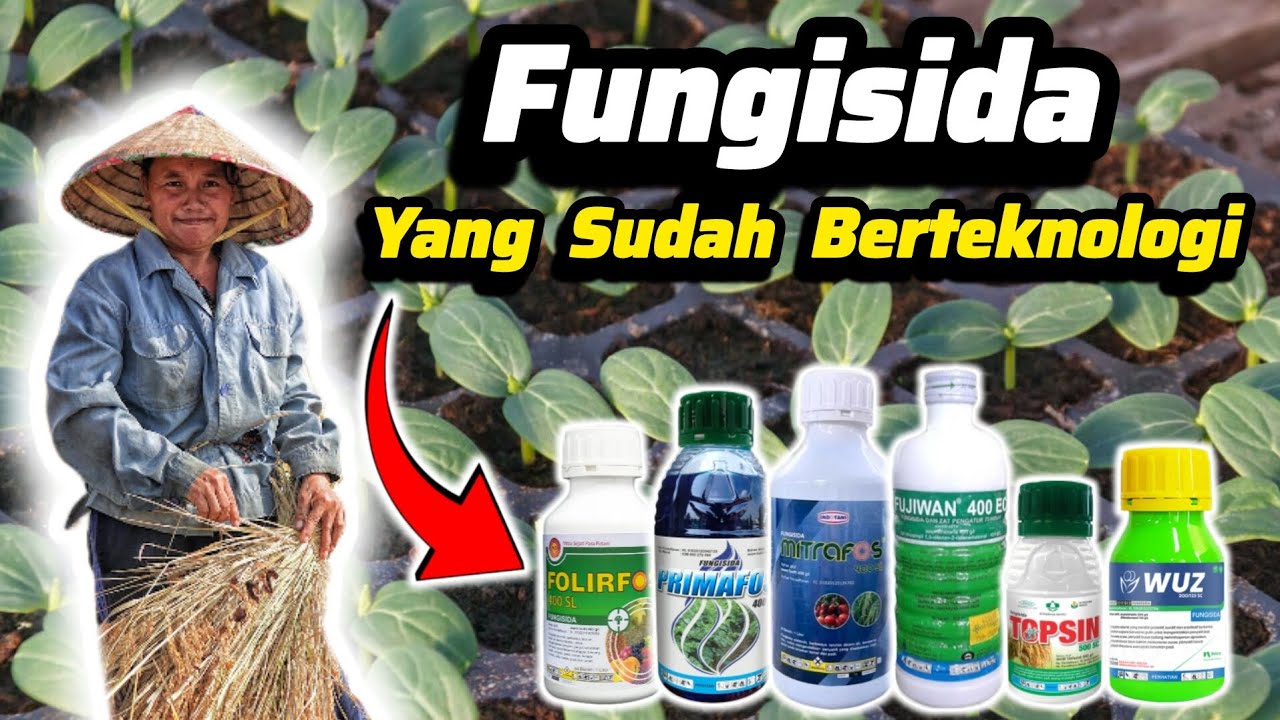 ♻️ Fungisida Berteknologi Canggih Harga Terjangkau ♻️ Fungisida Sistemik Akropetal / Basipetal 👍💯