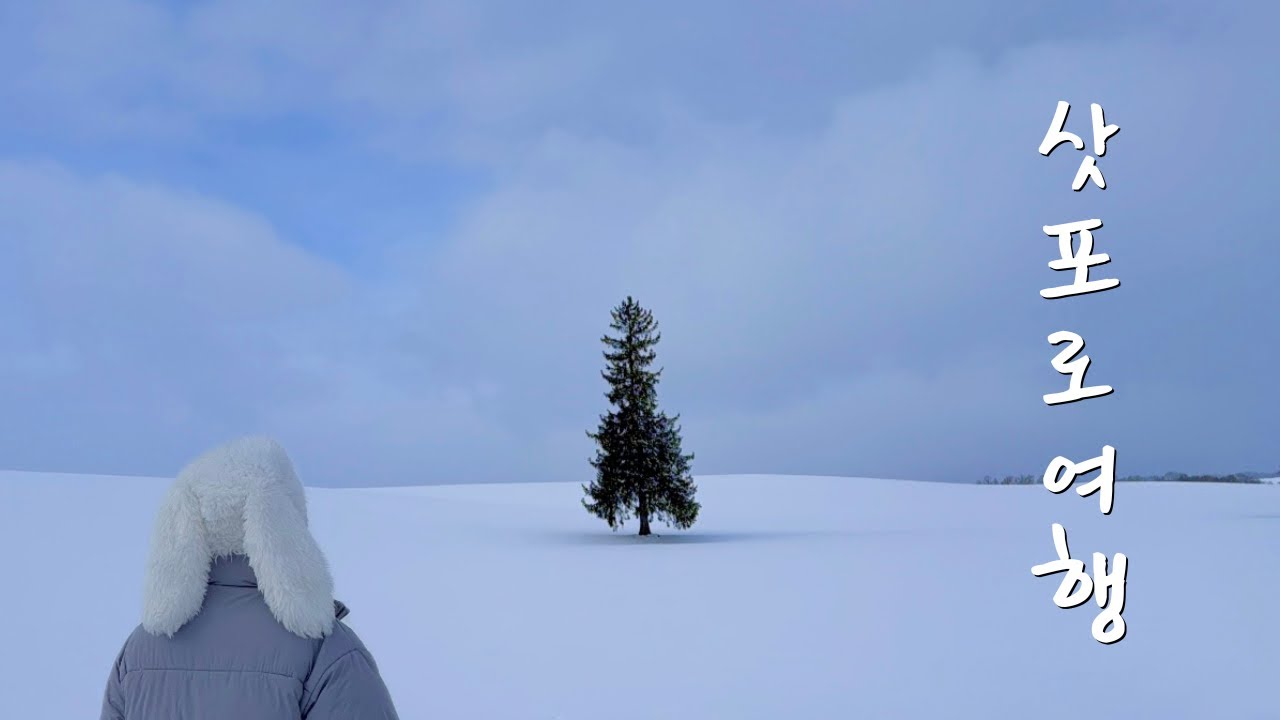 폭설 속 겨울 삿포로 여행 VLOG☃️ | 비에이 택시 투어 | 찐 맛집 추천 | 네무로 하나마루 스시🍣 | 마지산도 웨이팅 안하는 꿀팁