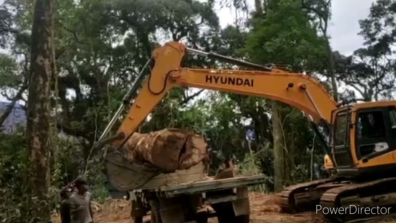 Tata 713