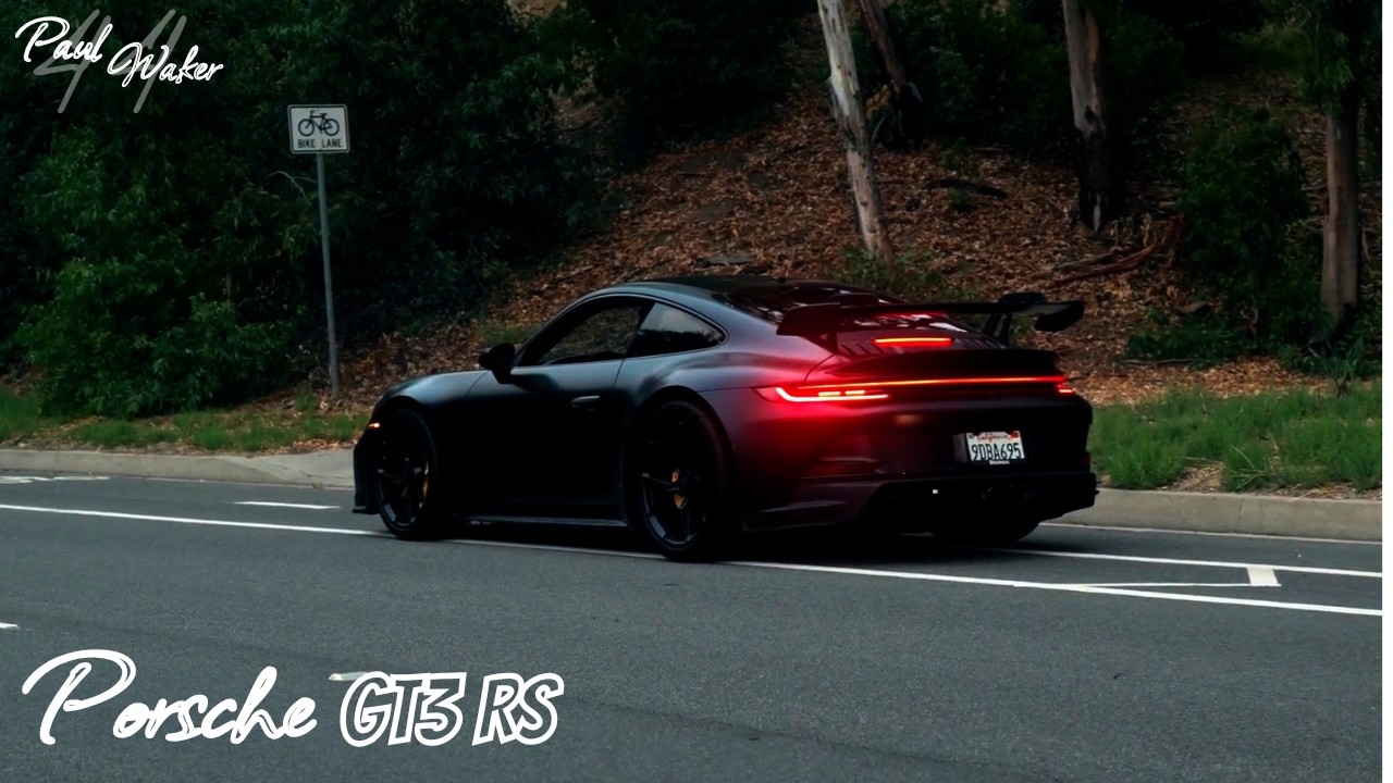 This GT3 RS Sounds ABSOLUTELY INSANE in the Black Forest | 4.0L Flat6 Natural Aspirated | 4K Video