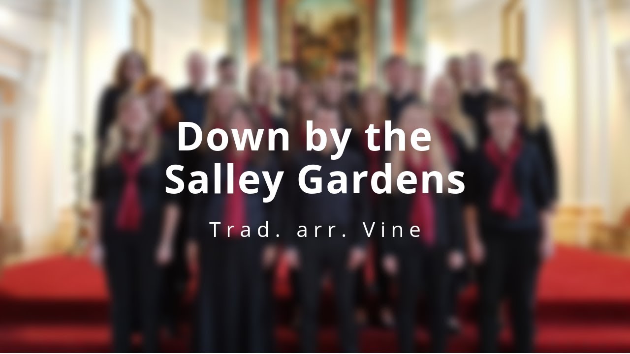 Down by the Salley Gardens - Trad. arr. Vine